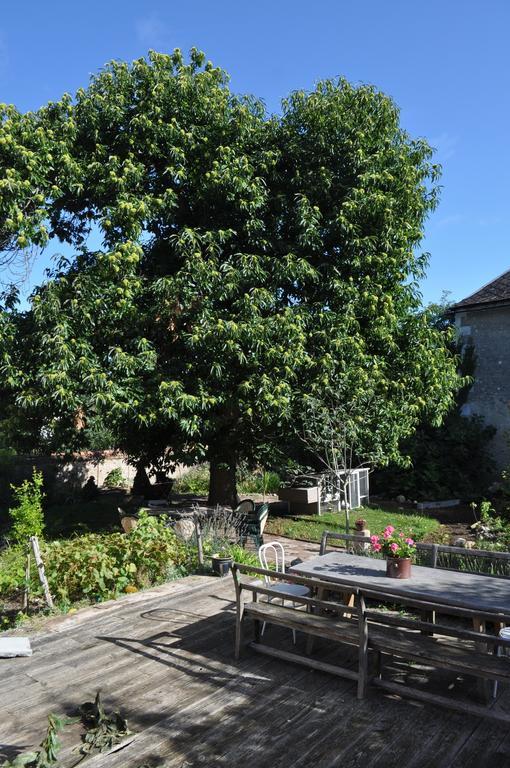 Bed and Breakfast Le Cep En Sancerrois Sancerre Exterior foto