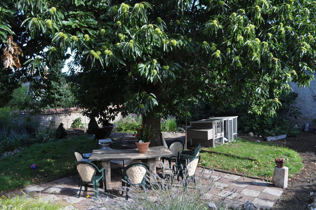 Bed and Breakfast Le Cep En Sancerrois Sancerre Exterior foto